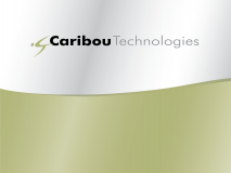 Caribou Technologies-01