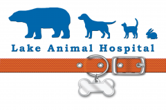 Lake Animal Hospital-01