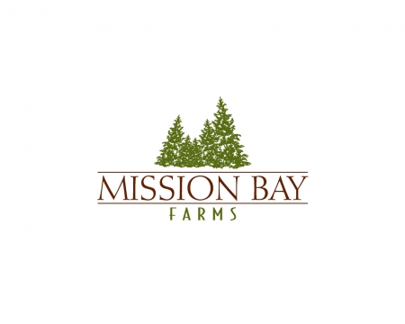 Mission Bay Logo Design